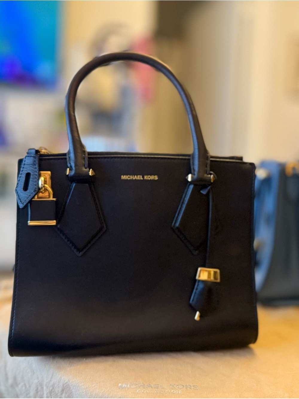 Michael Kors Collection Black Leather Satchel with Gold-Tone Accents